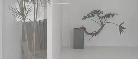 南寧展廳設(shè)計裝修中如何熟練運(yùn)用材料的秘密!
